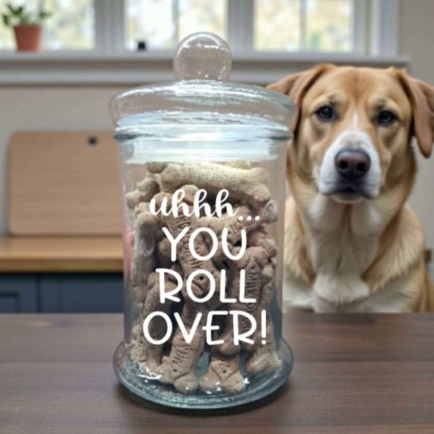 Funny Dog Treat Container | Sassy Pet Treat Jar | Glass Food Storage