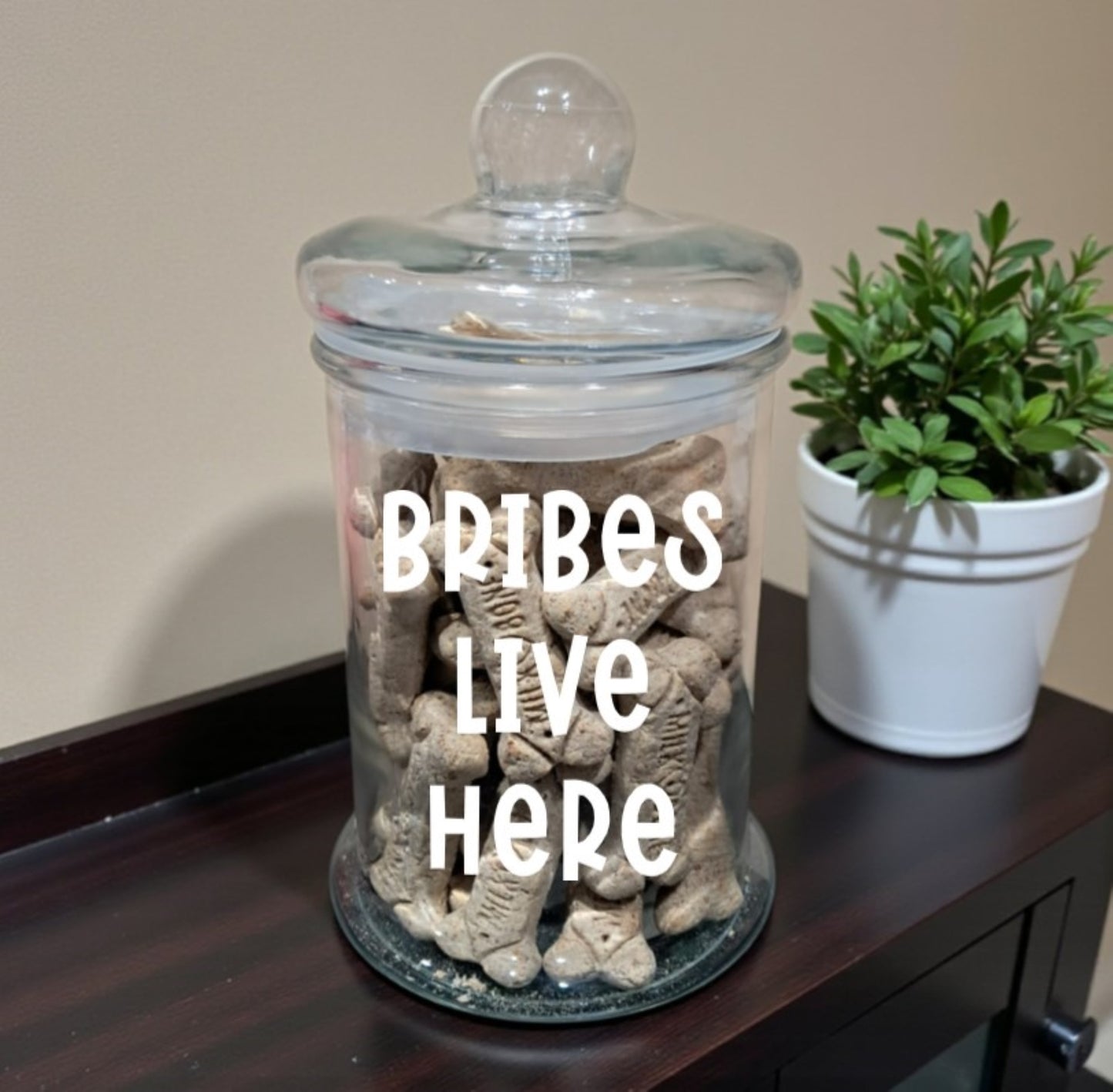 Funny Dog Treat Container | Sassy Pet Treat Jar | Glass Food Storage