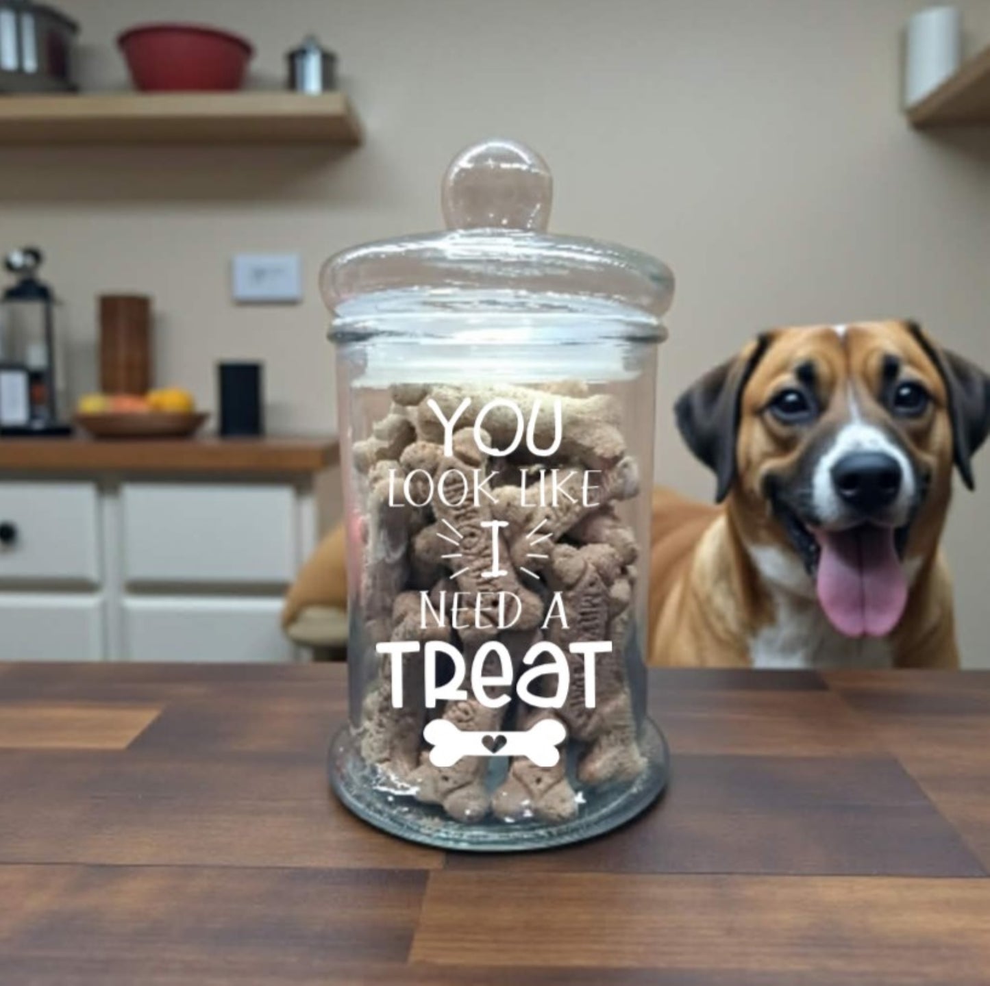 Funny Dog Treat Container | Sassy Pet Treat Jar | Glass Food Storage